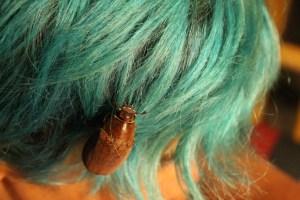 Yes, that's me with a new friend...